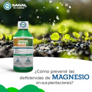 Sagaquel Magnesio