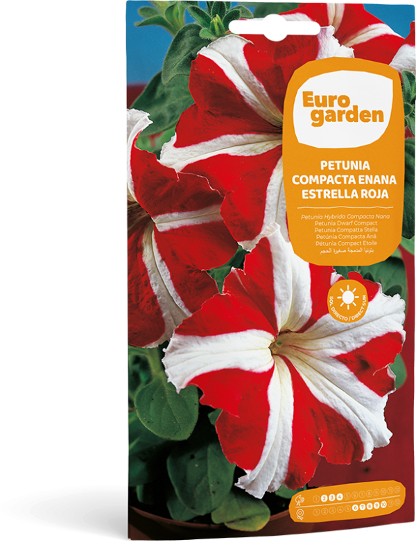 Petunia Compacta Enana Estrella